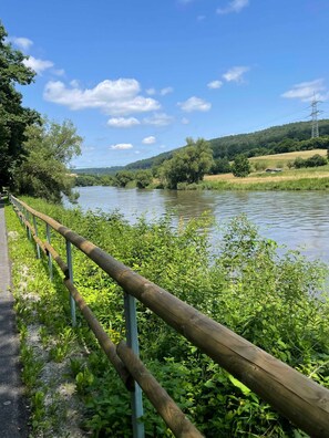 Ein Flussufer mit einer Holzlattenverkleidung, viel Grün und blauem Himmel.