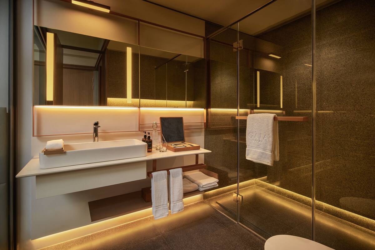 shower, rainfall showerhead, free toiletries, hair dryer