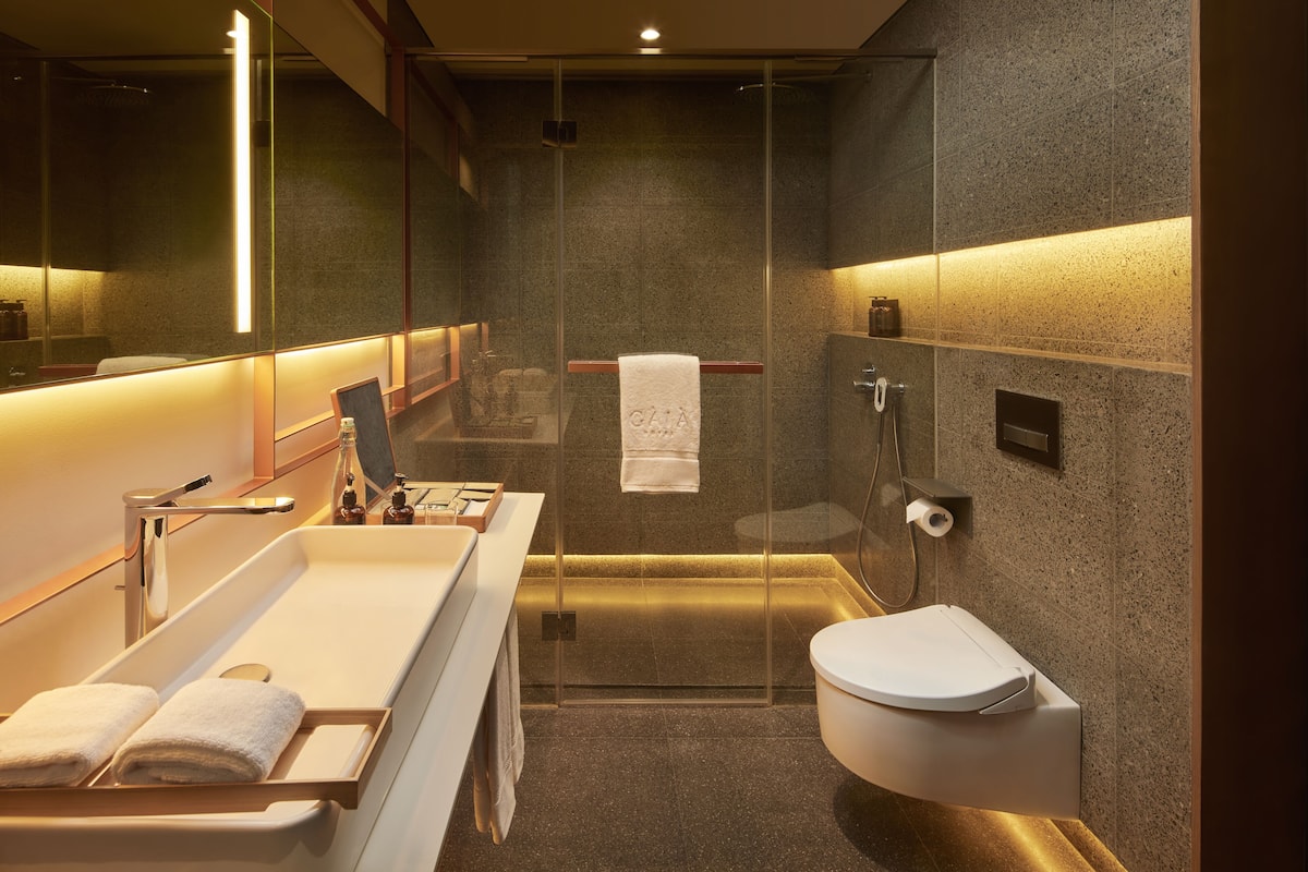 shower, rainfall showerhead, free toiletries, hair dryer