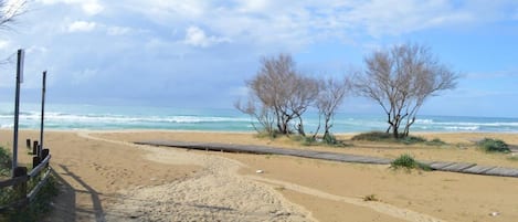 Playa en los alrededores