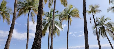 In Strandnähe, Liegestühle, Strandtücher