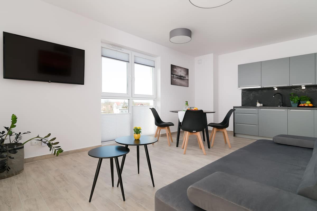 Economy Apartment | Living room | 49-inch flat-screen TV with satellite channels, TV
