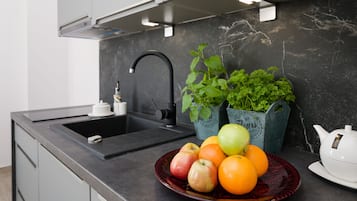 Frigobar, placa de cocina, lavavajillas, utensilios de cocina