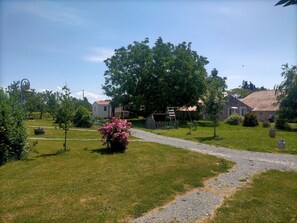 Terrain de l’hébergement 