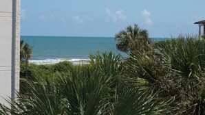 Küstensicht mit blauem Himmel, Strand und etwas Vegetation im Vordergrund.