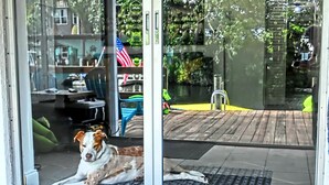 A dog sitting on a mat in front of a glass door. - Family & Pet-Friendly River Escape w/ Kayaks, Manatees & Outdoor Fun! (Weeki Wachee)
