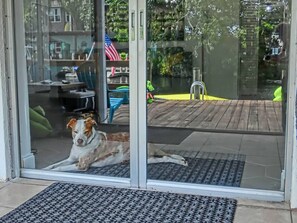 Exterior detail - Family & Pet-Friendly River Escape w/ Kayaks, Manatees & Outdoor Fun! (Weeki Wachee)