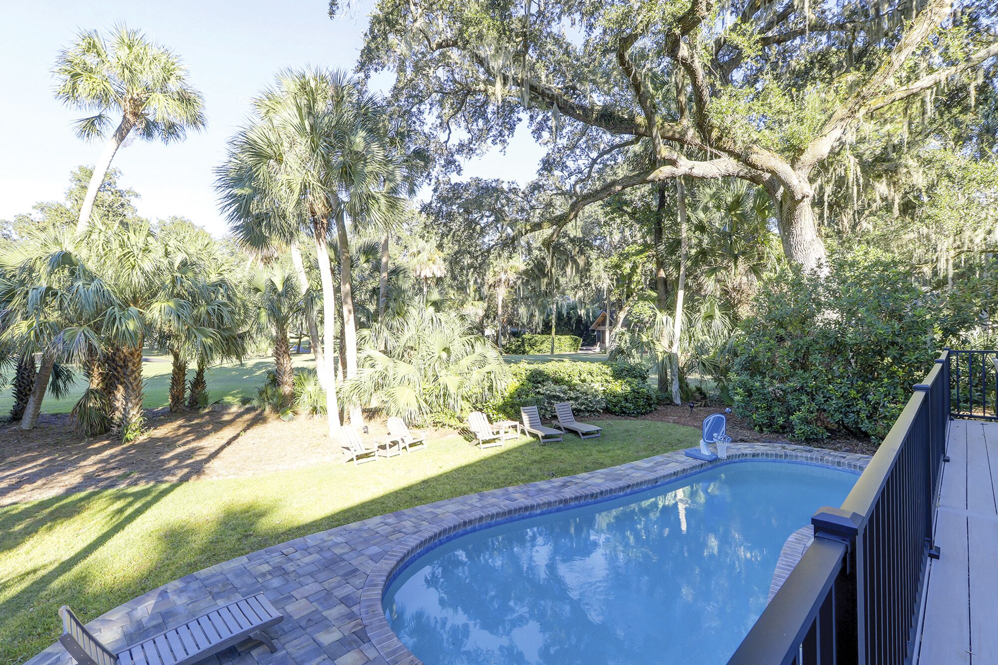 A backyard with a swimming pool, palm trees, and a lawn.