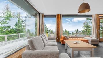 Älytelevisio, takka, DVD-soitin, kirjoja