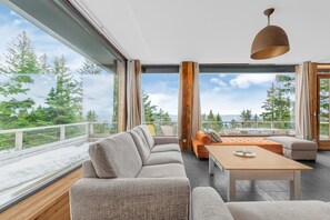 Smart TV, fireplace, DVD player, books