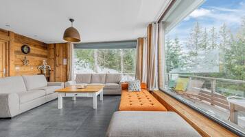 Smart TV, chimenea, reproductor de DVD y libros