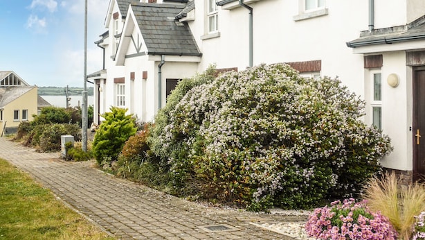 Een rij witte huizen met grijze daken, een geplaveid pad en een grote bloeiende struik op de voorgrond.