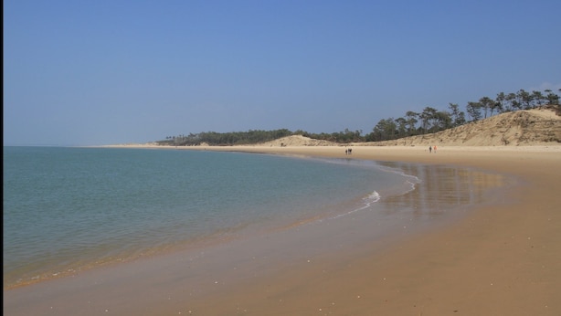Beach - Pleasant modern house in a quiet location, 5 minutes' walk from La Tremblade town center (La Tremblade)