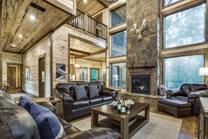 TV, fireplace, DVD player