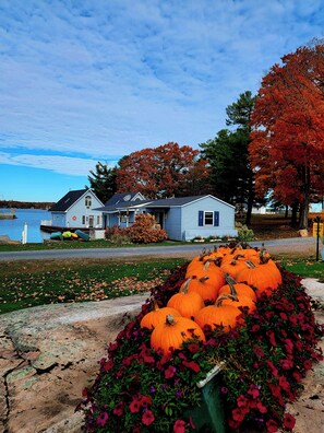 المنطقة المحيطة بالمنشأة