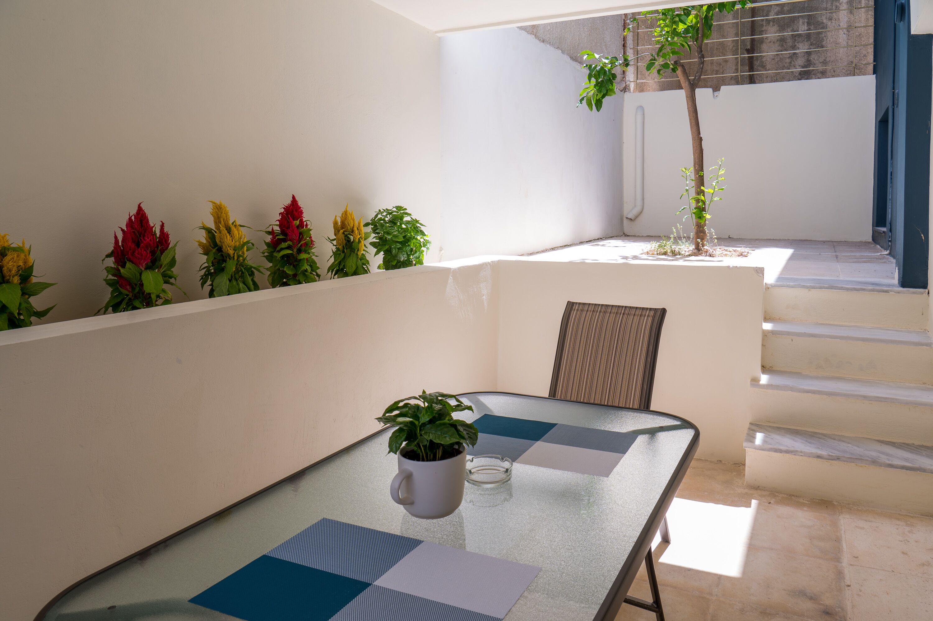 A glass-top table with a potted plant, a chair, and a small table lamp in a sunlit room with a white wall and a staircase.