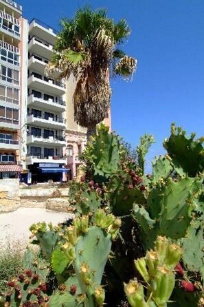 A multi-story building with balconies, a cactus in the foreground, and a clear blue sky.