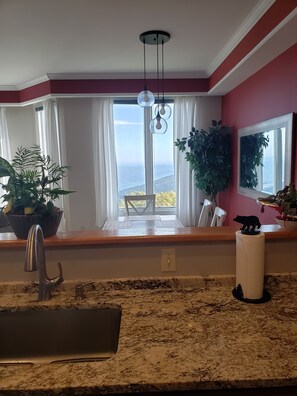 Interior - View from the Top (Roseland)