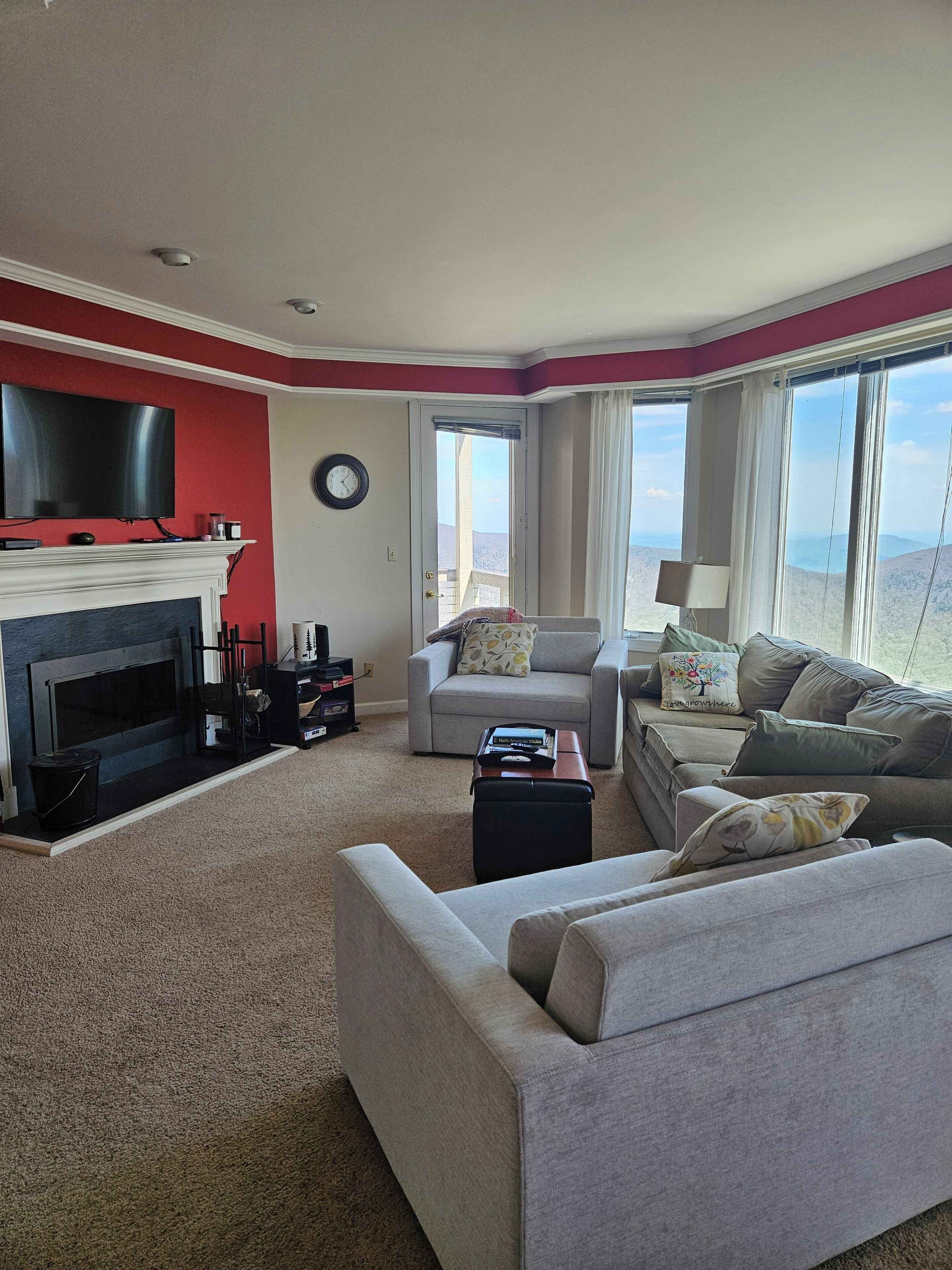 智能電視、壁爐、DVD 播放機、書籍