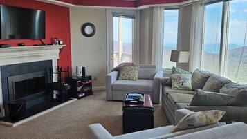 TV connectée, cheminée, lecteur de DVD, livres