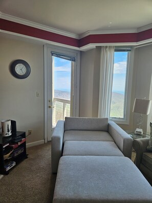 Smart TV, fireplace, DVD player, books - View from the Top (Roseland)