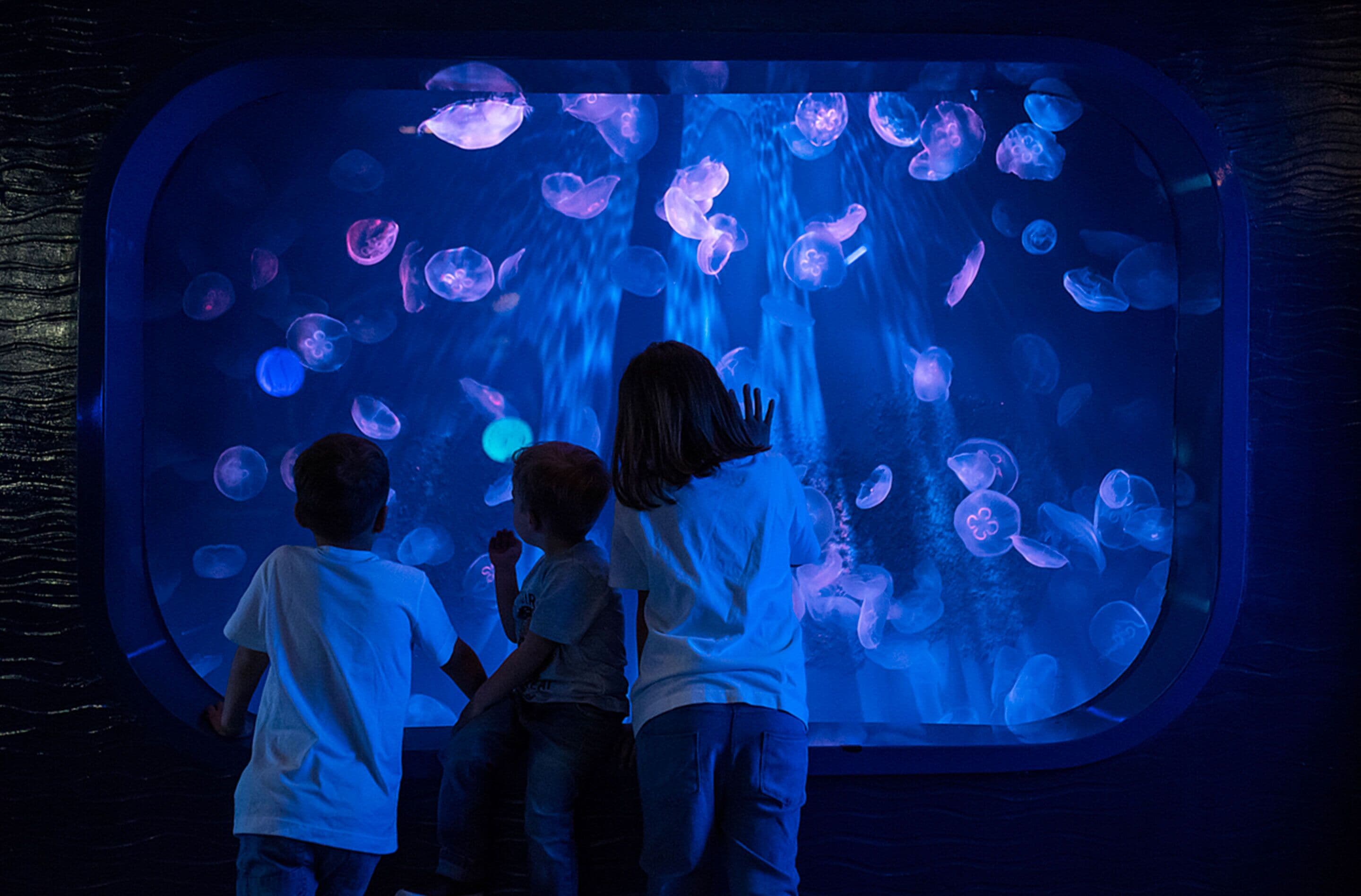 Photo - Hotel Astoria