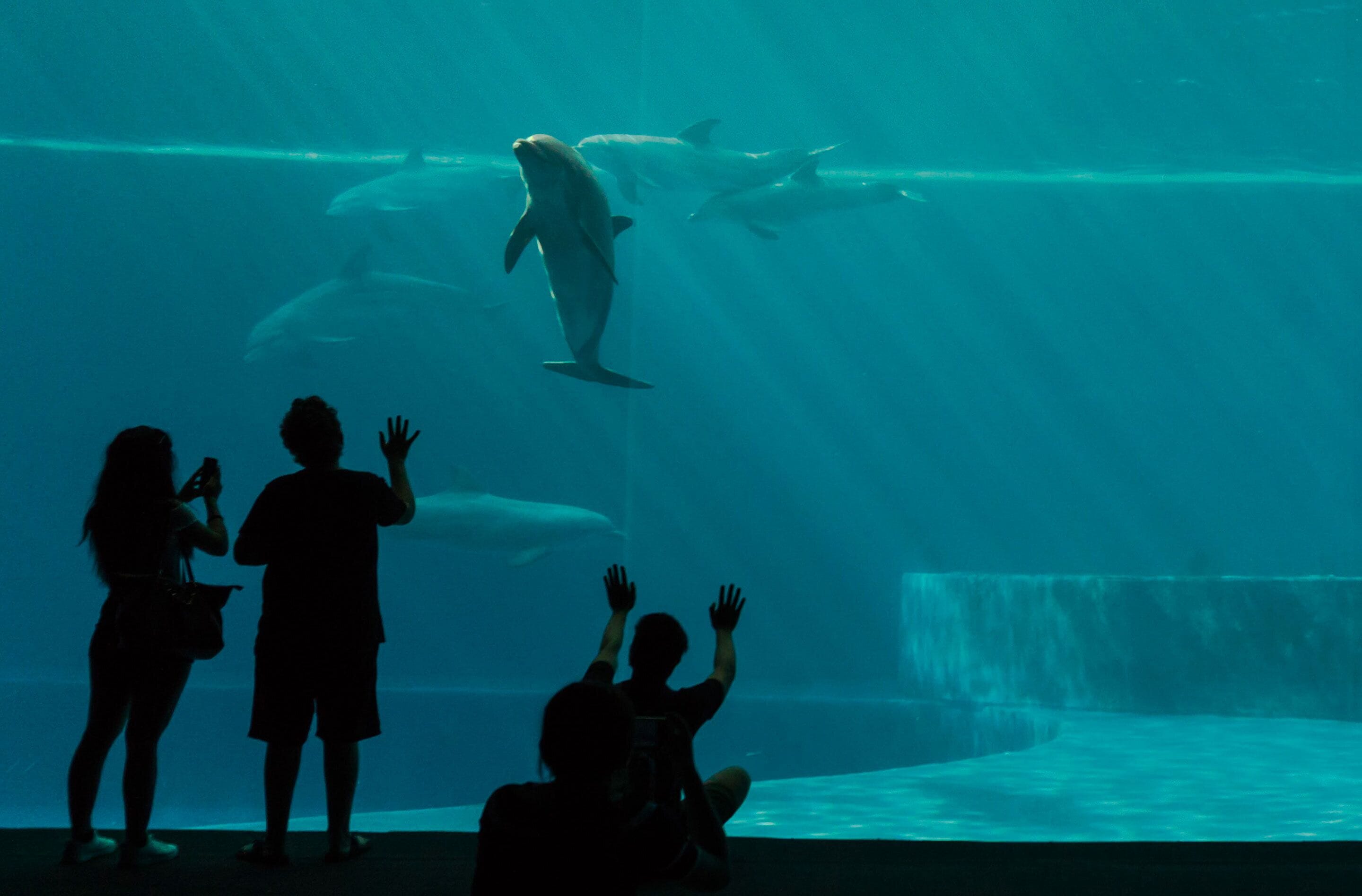 Photo - Hotel Astoria