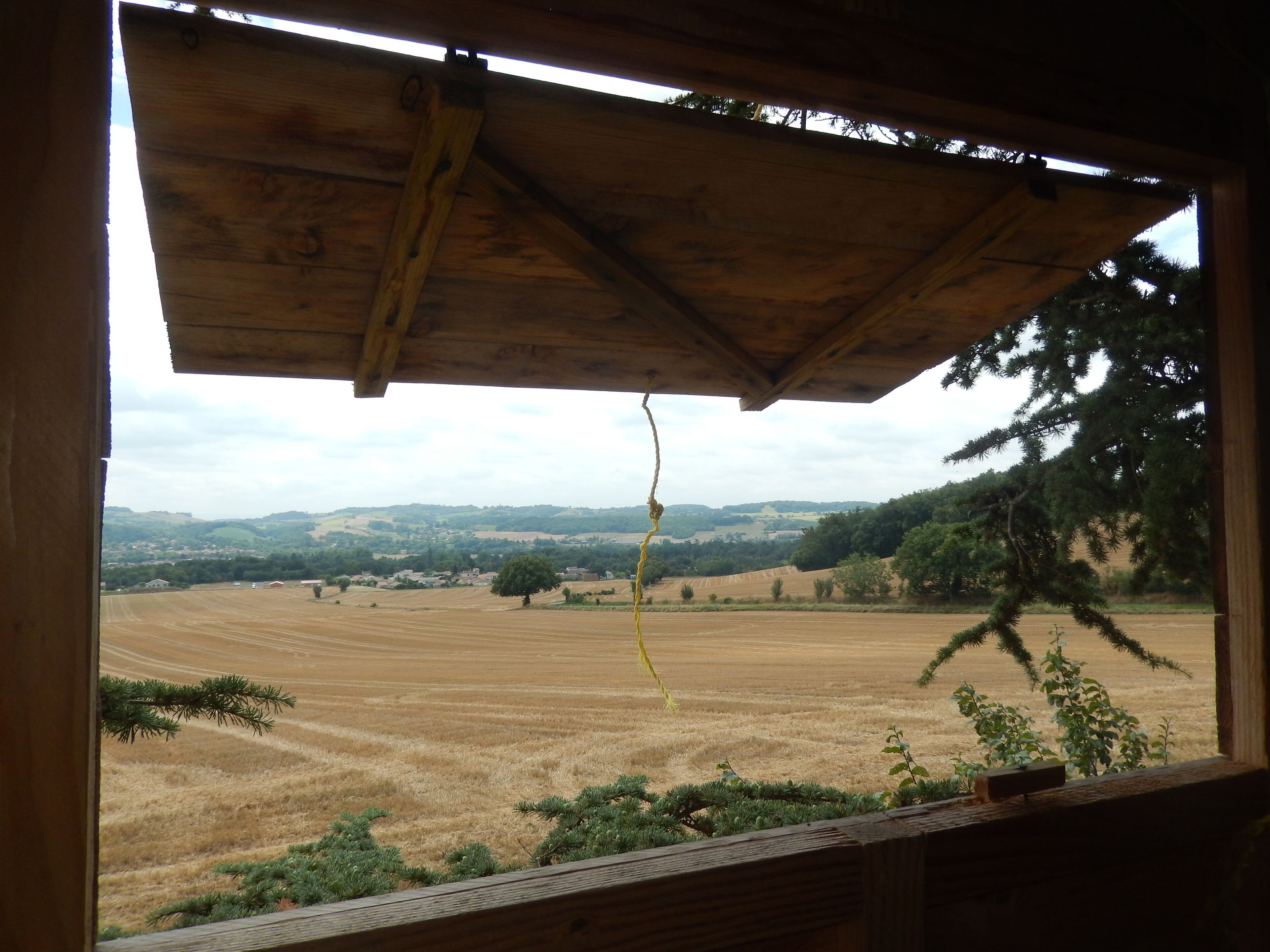 View from property