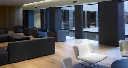 Blu Hotel Puerta De Almansa