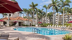 Zona de piscina con sillones de playa, sombrillas y palmeras.