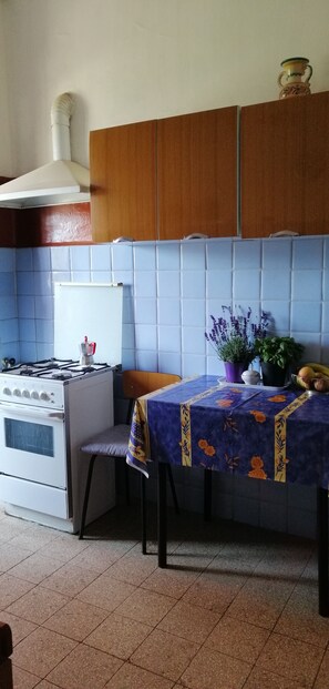 Kühlschrank, Herdplatte, Geschirrspüler