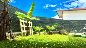 Ein Garten mit vielfältigen Pflanzen und einer an einem Gebäude lehnenden Leiter.