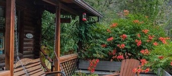 Honeysuckle - Rustic cabin for 2 in Oak Creek Canyon