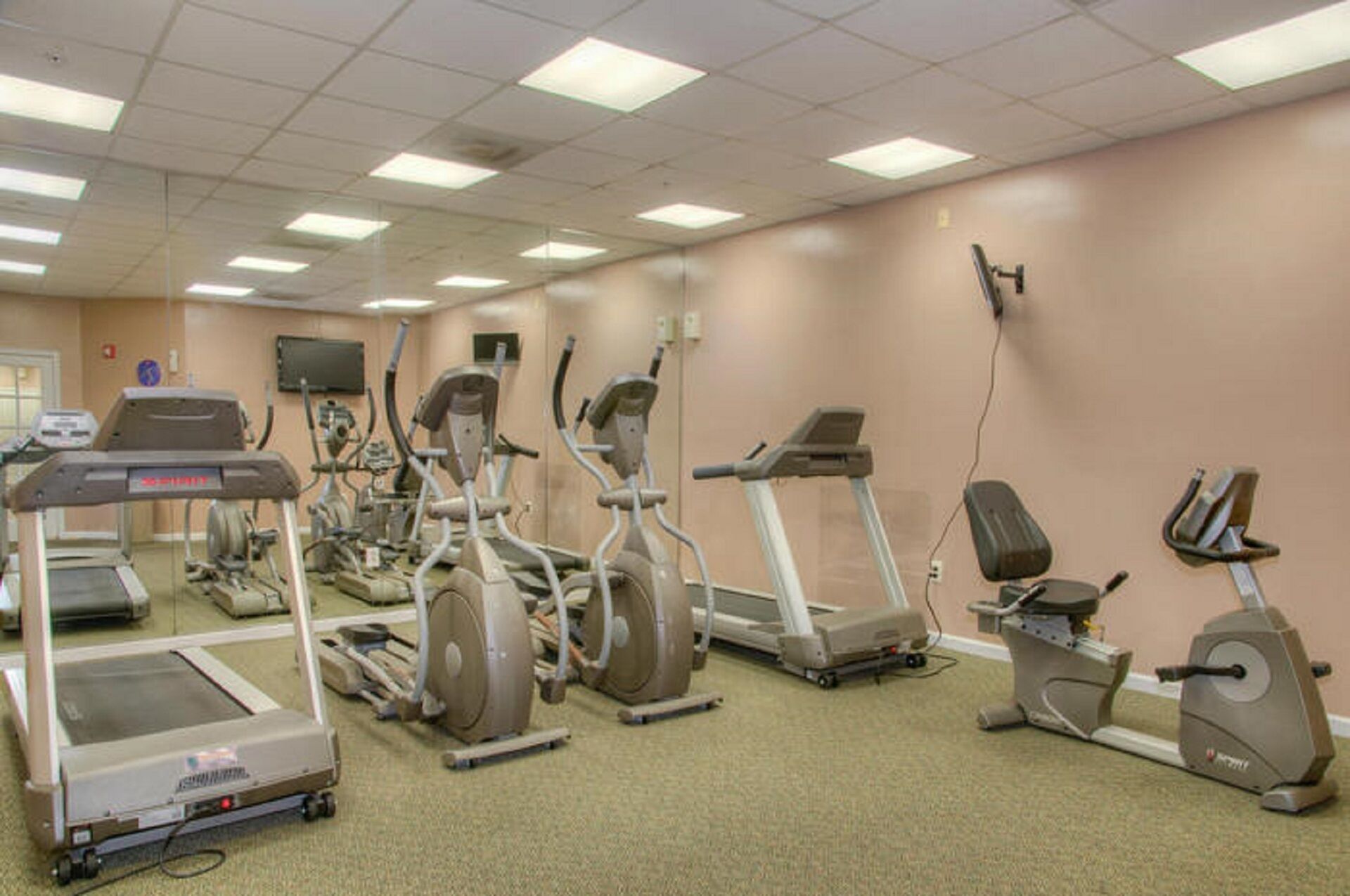 A gym with various cardio machines, including treadmills, elliptical trainers, and stationary bikes.