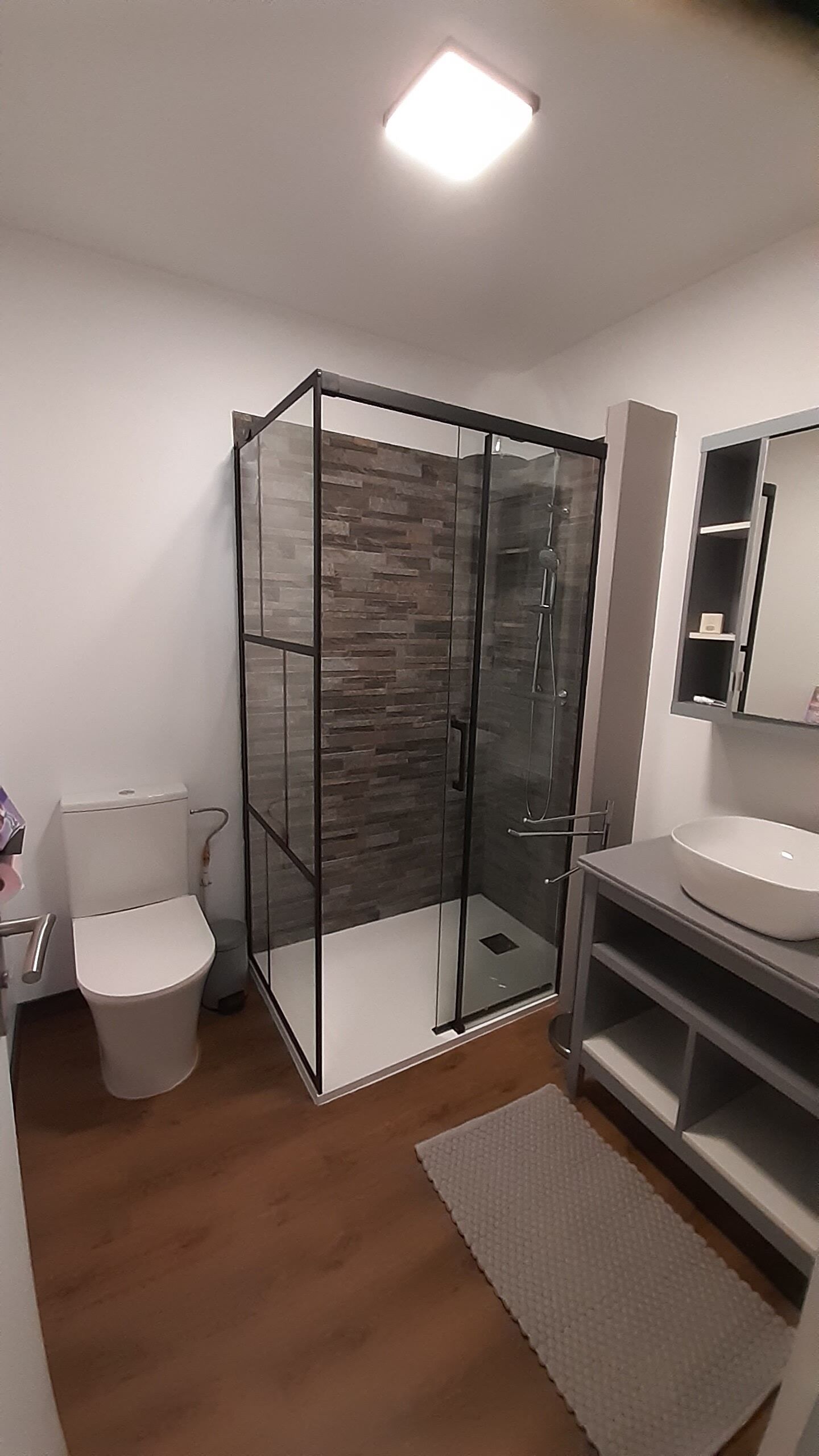Shower, hair dryer, soap, toilet paper