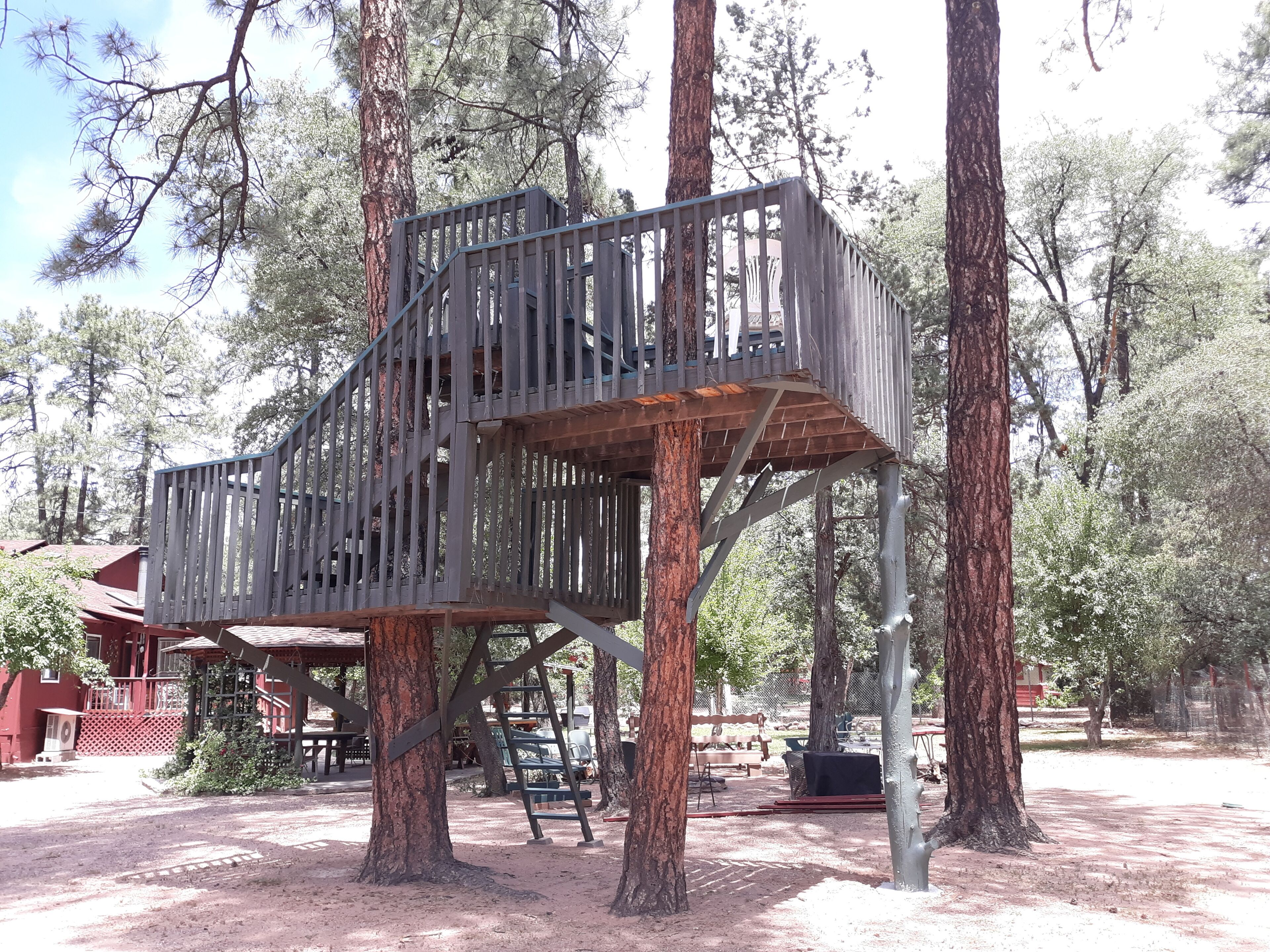 10 Best PetFriendly Cabins In Payson, Arizona Updated 2024 Trip101