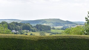 A view of a rural landscape with rolling hills, a hedge in the foreground, and a distant village.