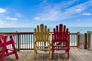 House, Multiple Beds (Absolute Heaven) | Property grounds - Absolute Heaven (Port St. Joe)