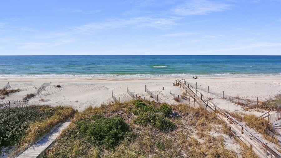 A Rendezvous, No Pets Allowed