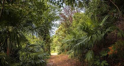 Garda Wild - Green Camping - Lake Garda