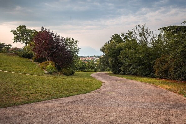 A paved path curving through a park with trees and grass on either side.