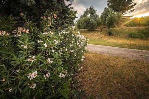 Garda Wild - Green Camping - Lake Garda