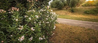 Garda Wild - Green Camping - Lake Garda