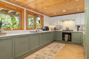 A modern kitchen with green cabinets, a wooden ceiling, and a large window. - The Rowan - Luxury Lodge and Woodland Views (Penally)