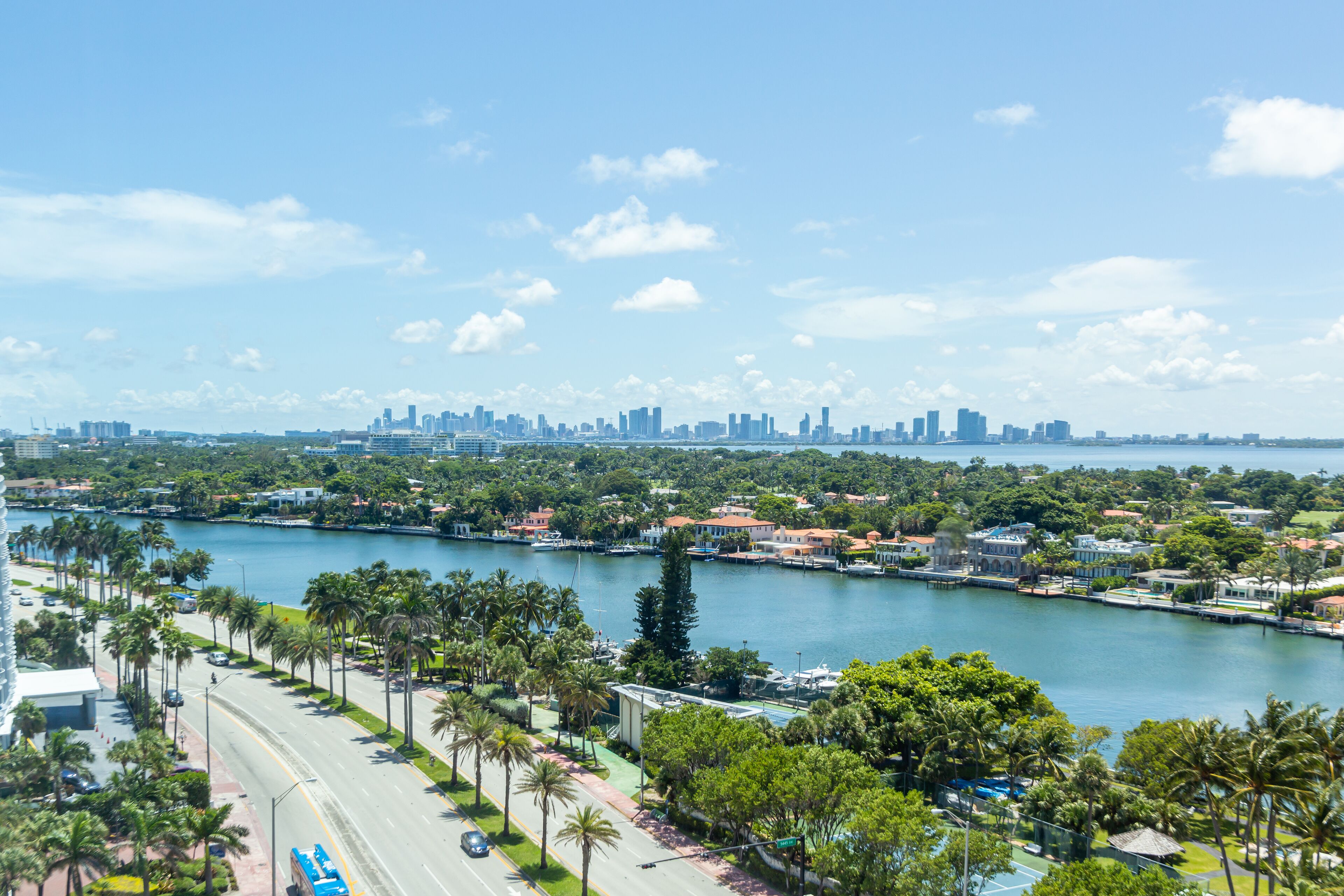 Un paisaje urbano costero con un puerto deportivo, calles bordeadas de palmeras y un horizonte lejano.