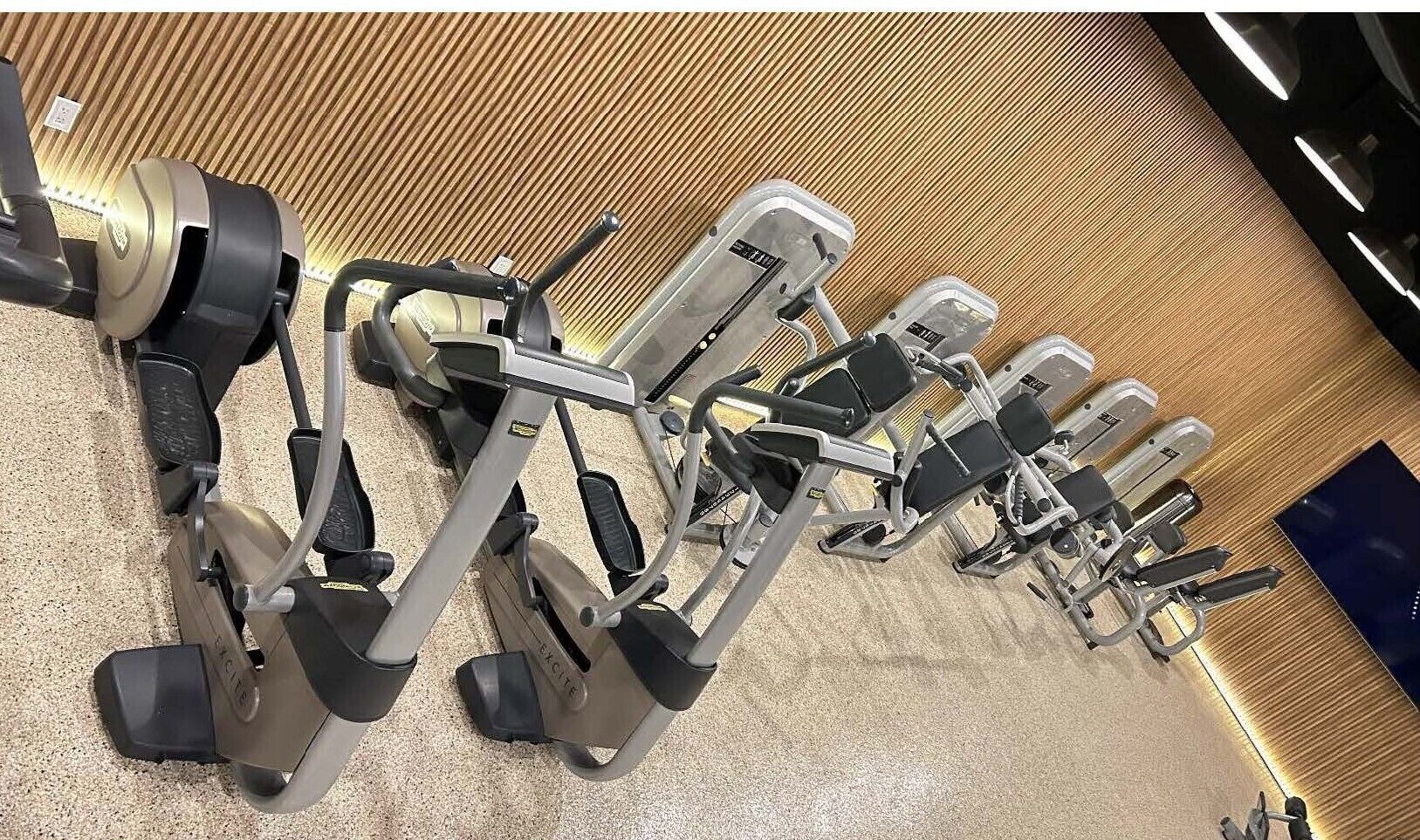 Varias máquinas de ejercicio estáticas en un gimnasio, con una pared de madera y suelo alfombrado.