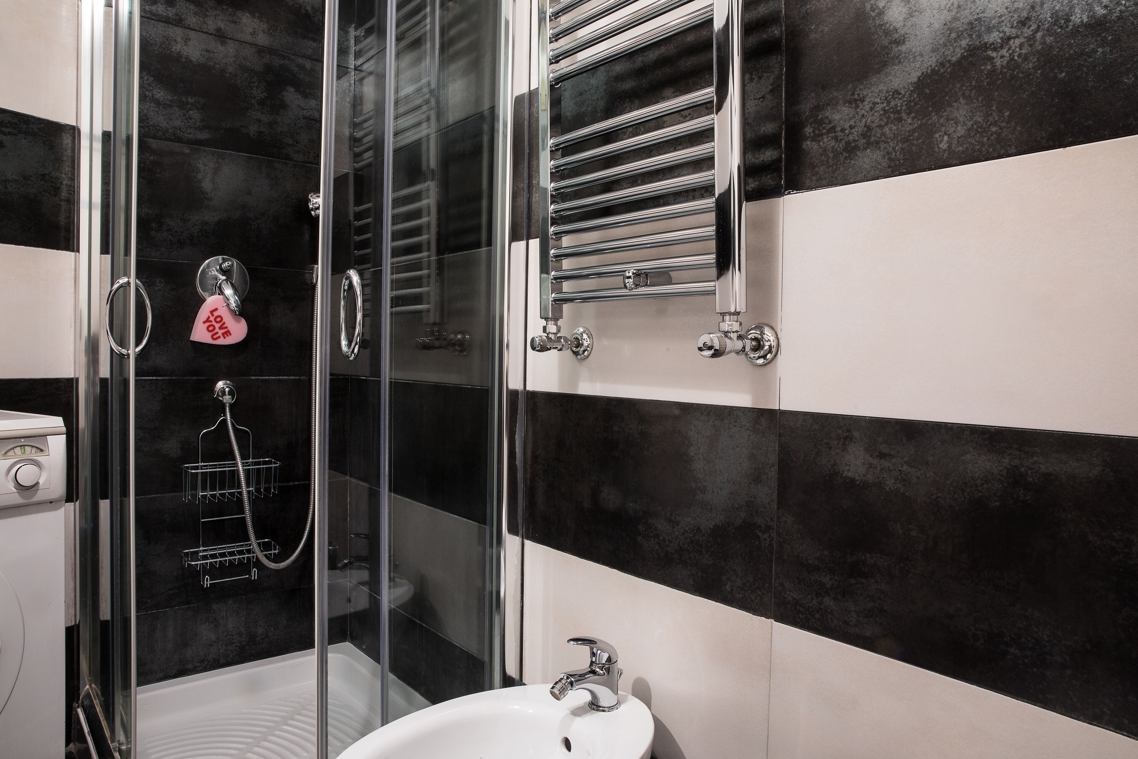 Shower, hair dryer, bidet, towels