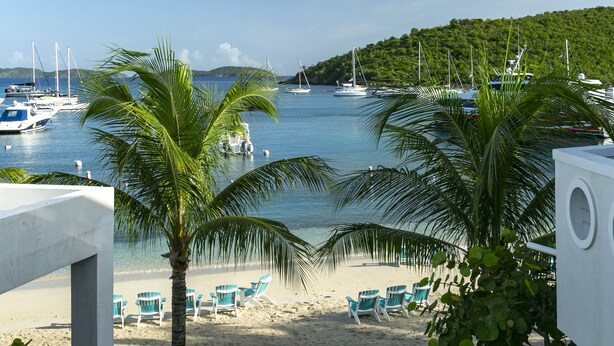 A beach with a row of blue chairs, a palm tree, and boats in the water.