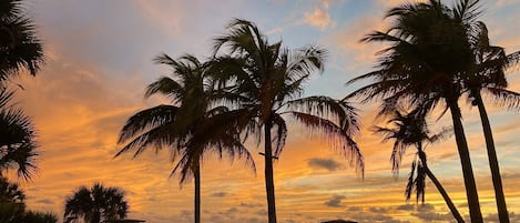 在海灘附近、躺椅、沙灘巾