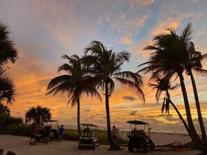 Escena de playa con palmeras y carros de golf.